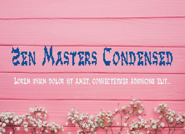 Zen Masters Condensed example